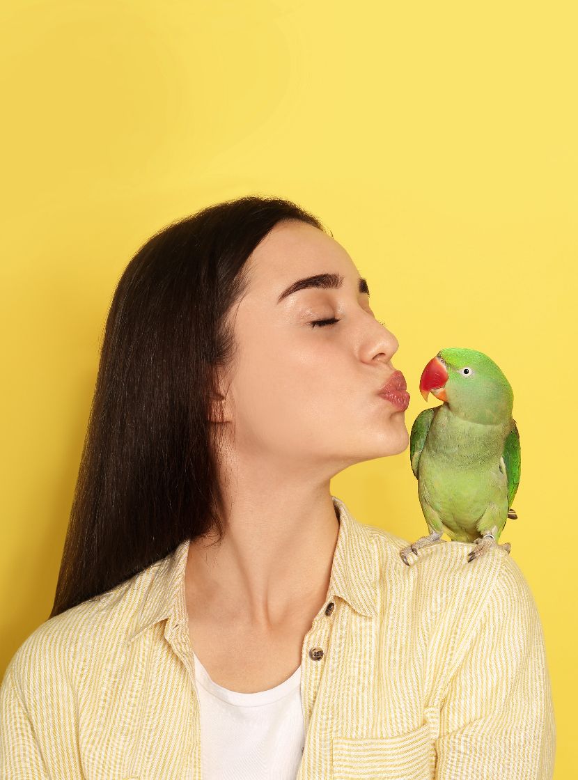 Produtos para Aves