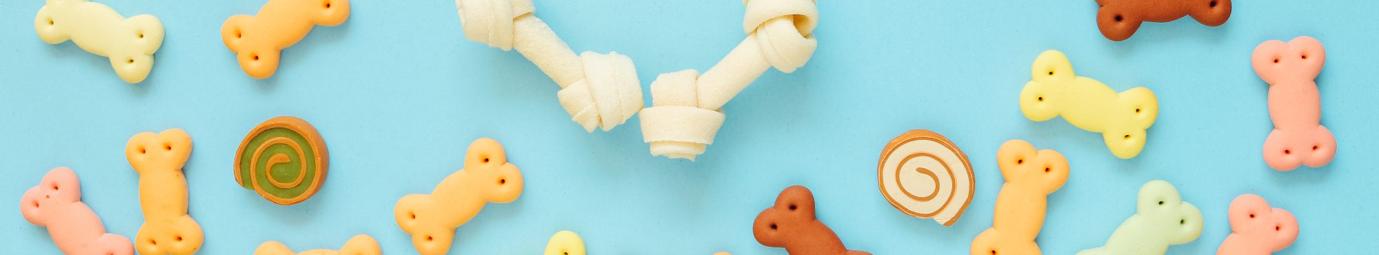 Snacks para cães