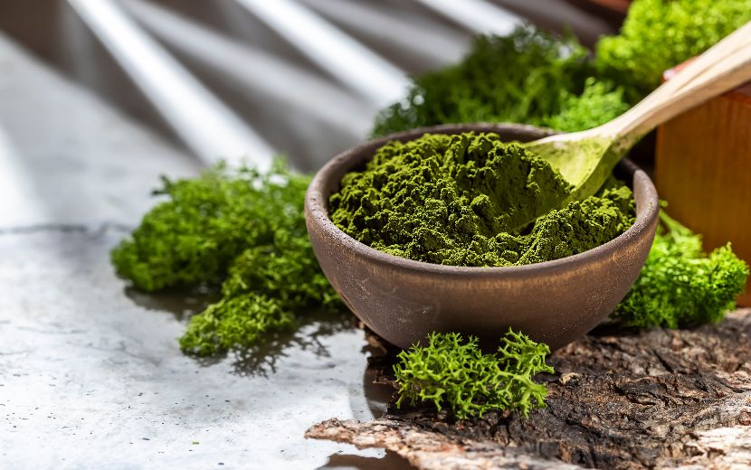 Chlorella alimentação funcional nos cães