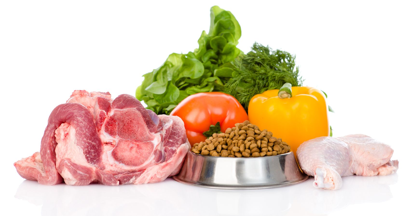 Dieta para cães Dieta para cães