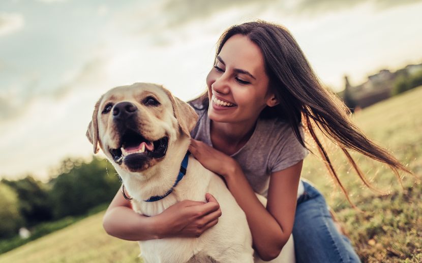 Saúde funcional nos cães