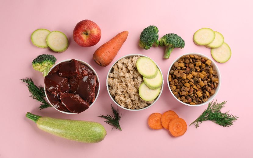 Vitaminas para cães