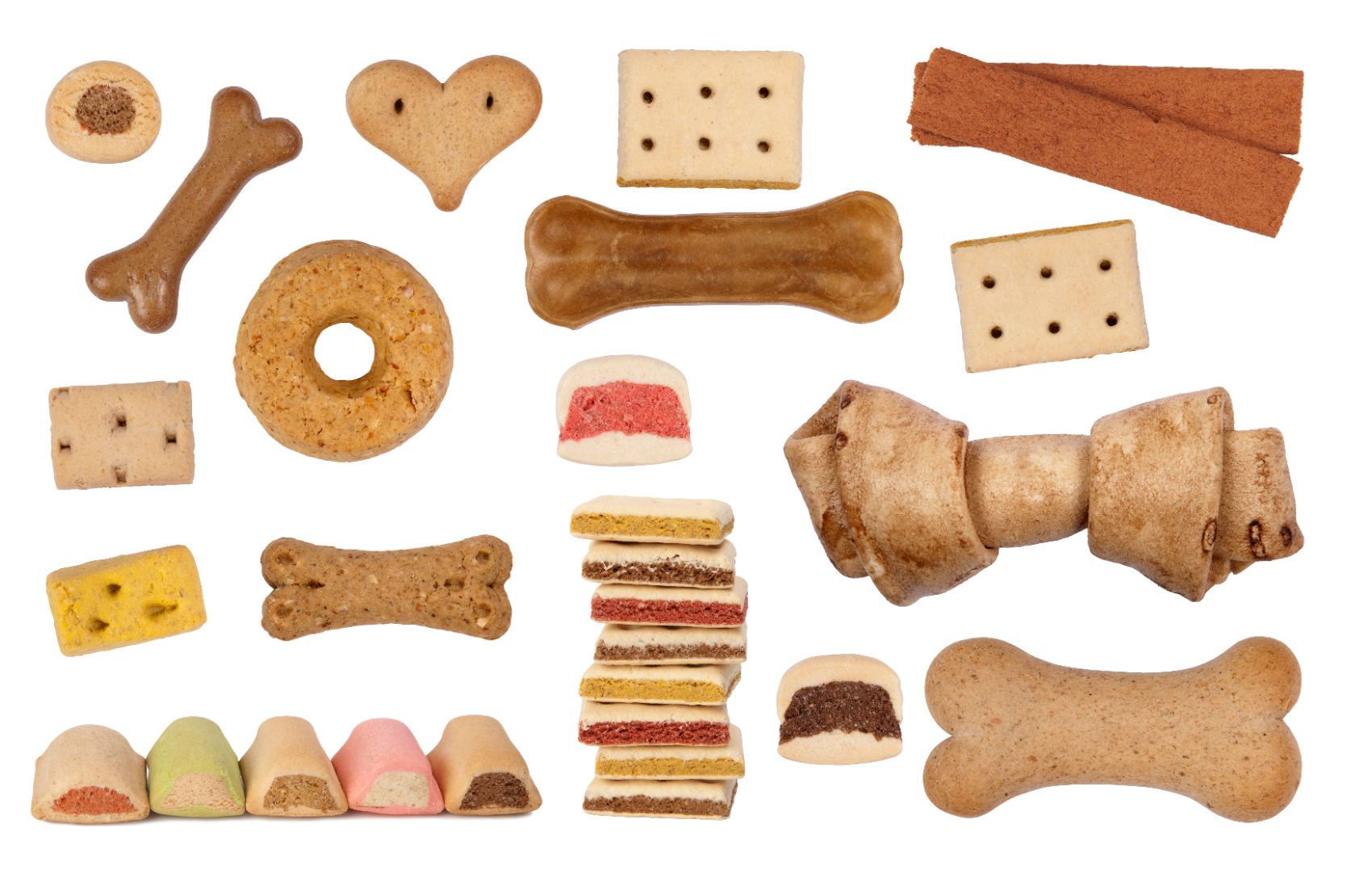 Snacks para cães