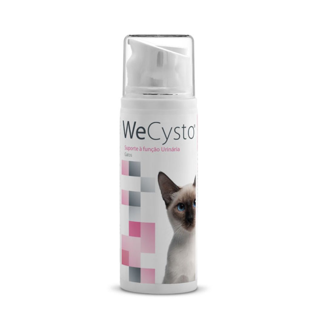 WeCysto Gato
